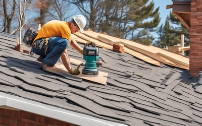 Why Opt for Professional Residential Roofing Installation?