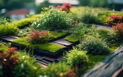 Exploring Sustainable Materials for Green Roof Construction