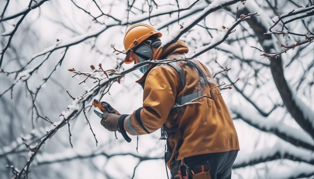 9 Best Practices for Winter Roof Maintenance Safety clear tree branch hazards