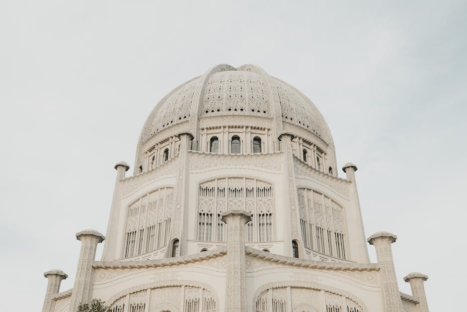 Essential Roof Maintenance Tips for Homeowners in Forest Hill